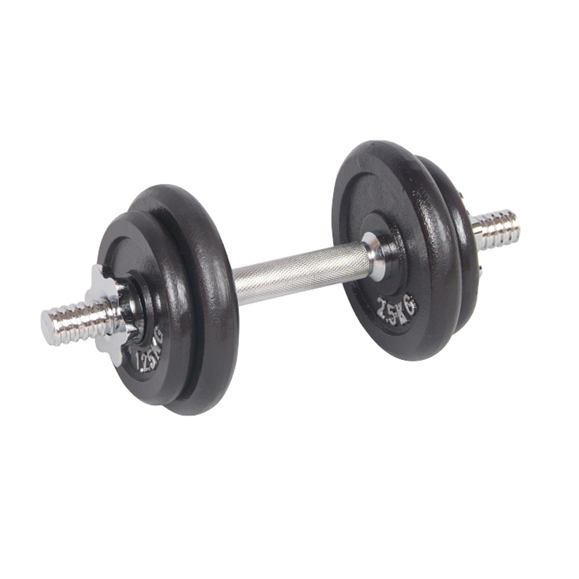 10KG Black Paint Dumbbell Set